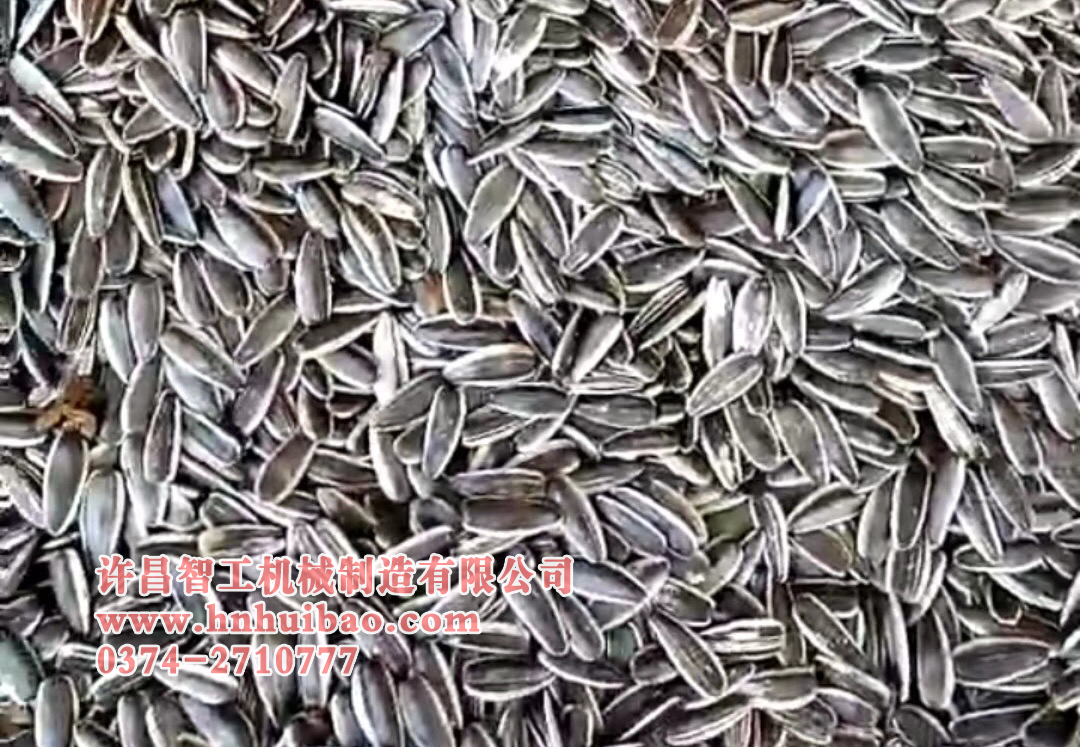 電磁炒瓜子機.jpg
